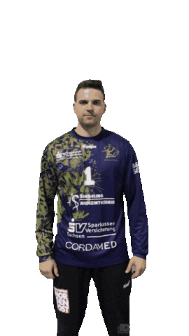 Sport Handball Sticker by hcelbflorenz