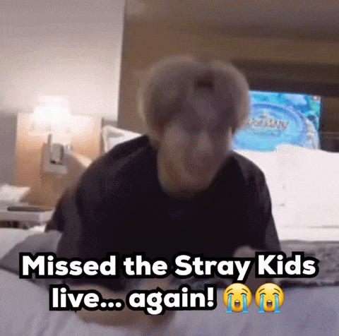 Cry Stray Kids GIF