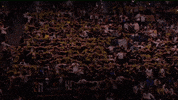 Esports Teamvitality GIF by BLAST