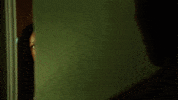 fox tv GIF by Rosewood