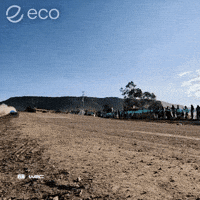 Crypto Cryptocurrency GIF by Eco