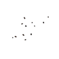 space eyes Sticker by ladypat