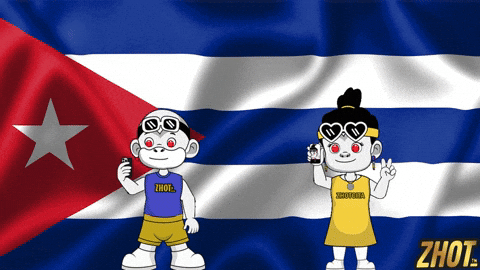 Che Guevara Flag GIF by Zhotcita