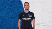 Bundesliga Berlin GIF by Hertha BSC