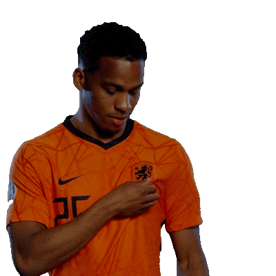 Nederlands Elftal Euro2020 Sticker by OnsOranje