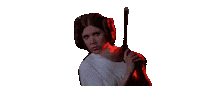 Princess Leia Under Cover Sticker