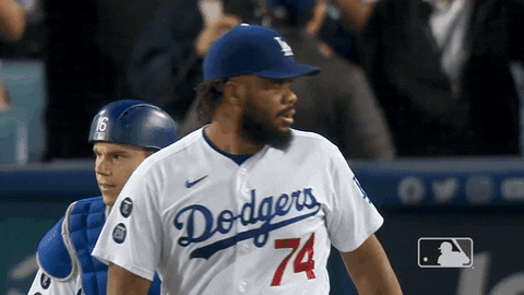 Los Angeles Dodgers Celebration GIF by MLB