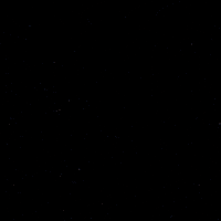 Celebration Goal GIF by Eisbären Berlin