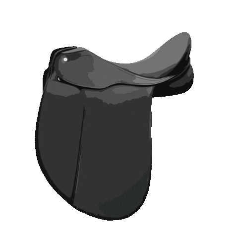 Horse Dressage Sticker by Fundis Reitsport