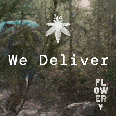 Weed Delivery GIF by The Flowery