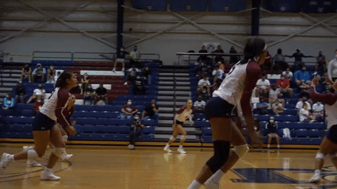 Game Volleyball GIF by STUMiami