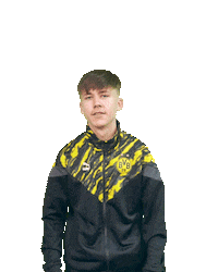 Bvb Sticker by Borussia Dortmund