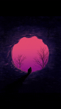 lauraemlillelund bird free sunset freedom GIF