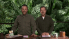 Ant And Dec Im A Celeb GIF by Digital Spy