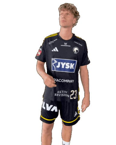 Bsh Sticker by Bjerringbro-Silkeborg Håndbold