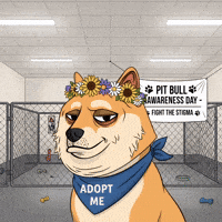 Adopt Me Shiba Inu GIF by Doge Pound