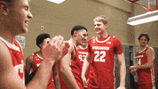 Celebrate College Basketball GIF by Wisconsin Badgers