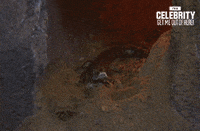 imacelebau noppe GIF by I'm A Celebrity... Get Me Out Of Here! Australia