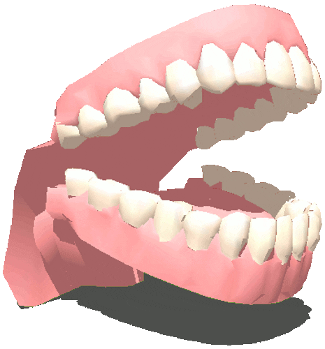Teeth Sticker by badblueprints