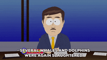 news report GIF by South Park 