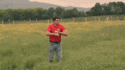 Euskara GIF by EiTB
