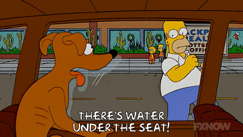 Episode 9 GIF by The Simpsons