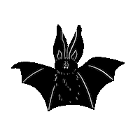 Halloween Night Sticker