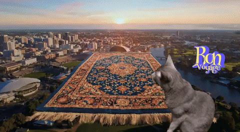 lynettearden giphyattribution GIF