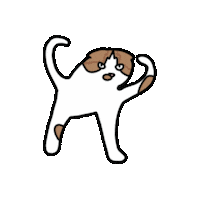 Angry Cat Sticker