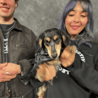 Cute Dog Rc GIF by Respective