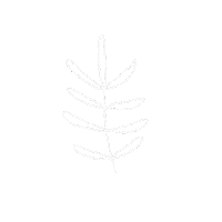 Leaf Leaves Sticker
