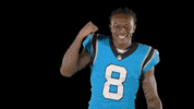 Happy Lets Go GIF by Carolina Panthers