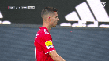 Come On What GIF by Sport Lisboa e Benfica