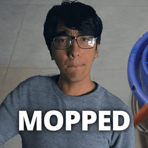 Slang Mop GIF