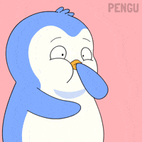 Penguin Eww GIF by Pudgy Penguins