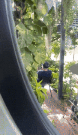 yj_jane giphygifmaker GIF