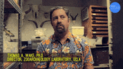 Indiana Jones GIF by BuzzFeed