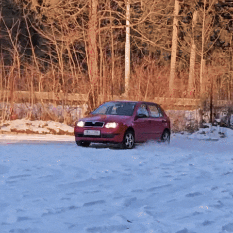 Skoda Fabia Car GIF