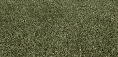Womens Lacrosse GIF by Lafayette Leopards
