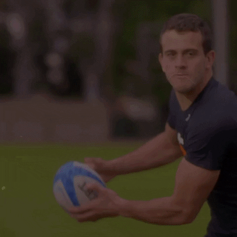 maurob2 giphygifmaker GIF