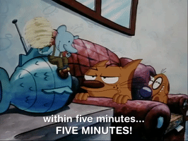 nicksplat GIF