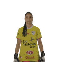 Swipe Up Futebol Feminino Sticker by Federação Paulista de Futebol