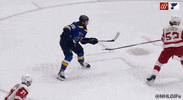 Ice Hockey Sport GIF by NHL
