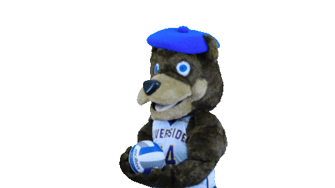 Volleyball Sticker by UCRSRC