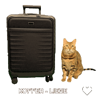 Bengal Cat Sticker by Kitty Fuchs