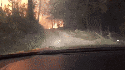 xcbcvccxscxcv giphyupload GIF