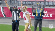 Regular Season Football GIF by NFL