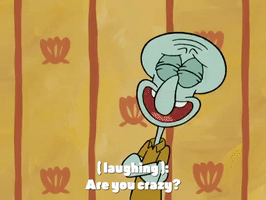 season 4 krusty towers GIF by SpongeBob SquarePants