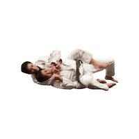 Bjj Jiujitsu Sticker by RIZE MMA