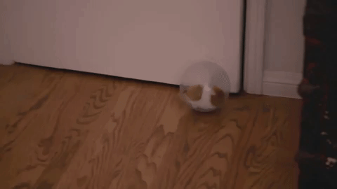 lns211 GIF by truTV's Late Night Snack